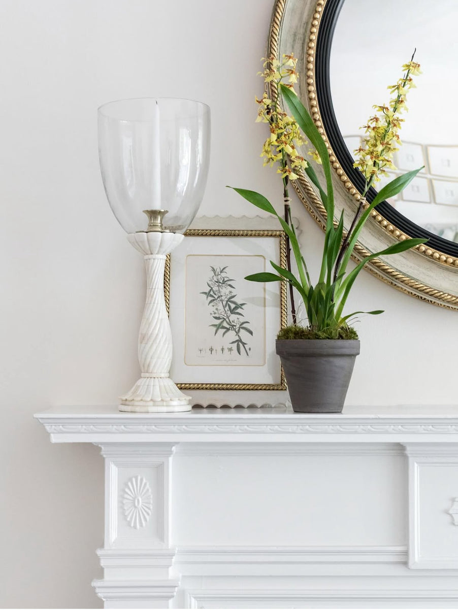 Beaumont Hurricane Tall