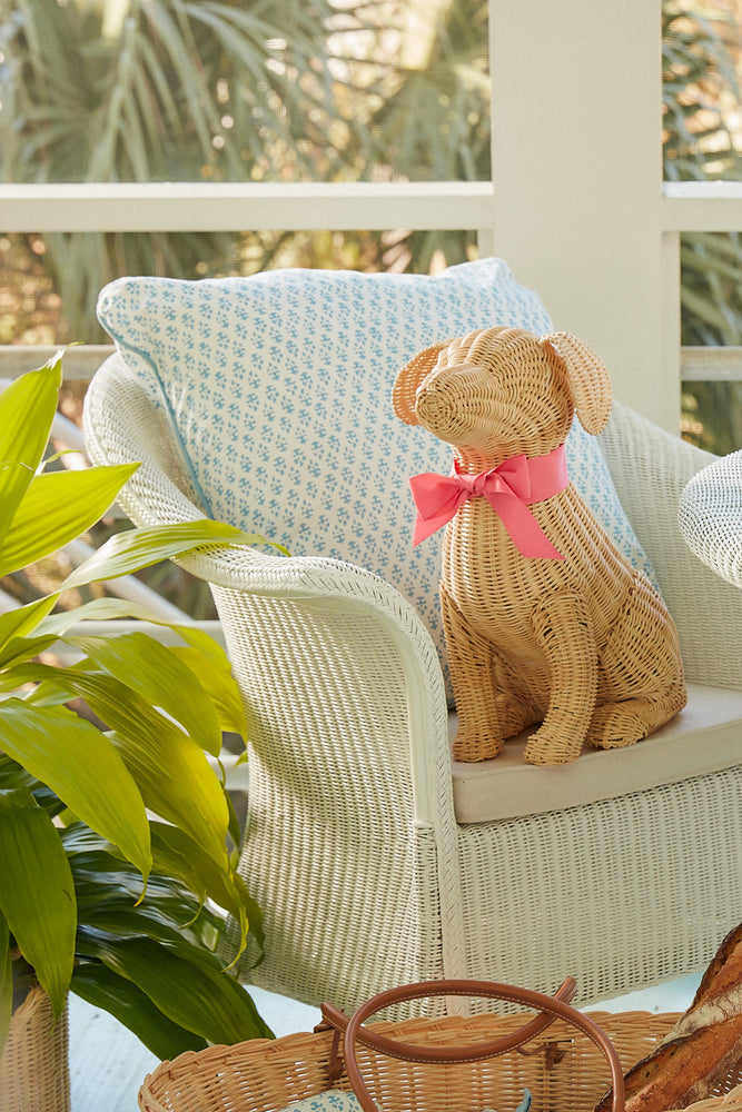 potcake wicker dog