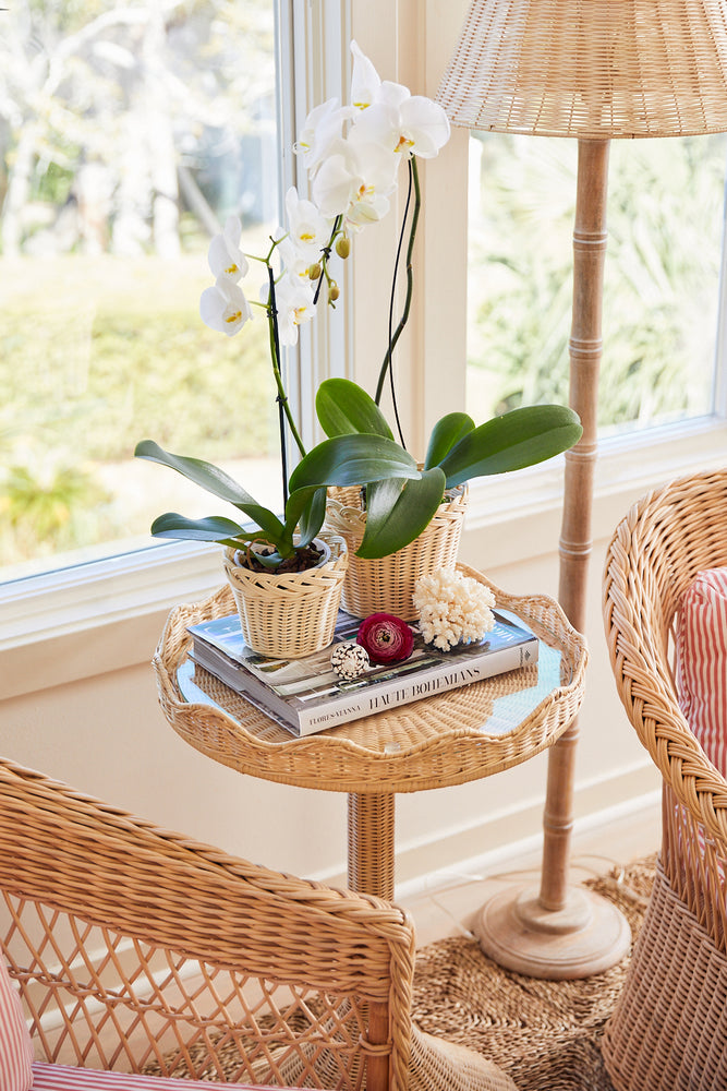 braided wicker planter basket - large & small
