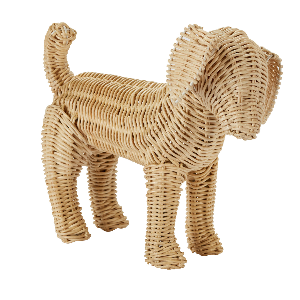 Potcake Puppy