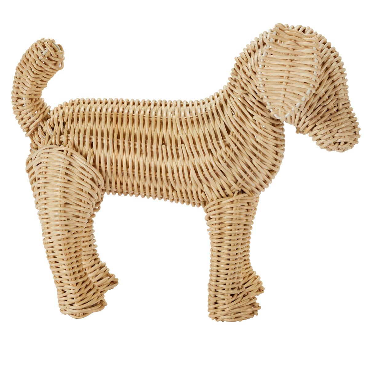 Potcake Puppy