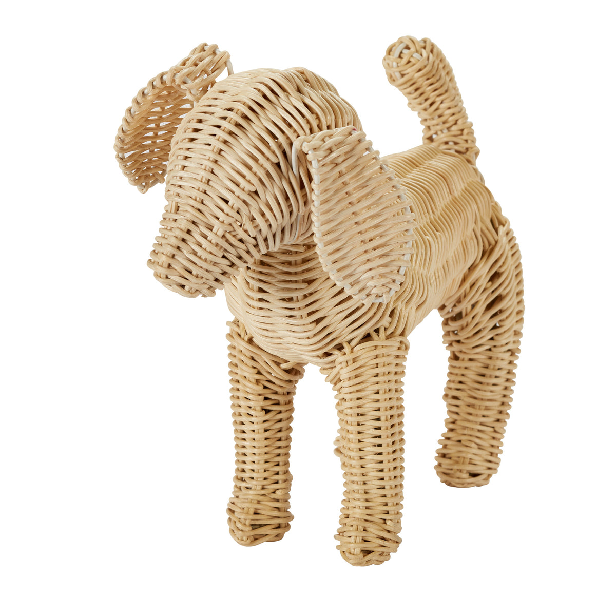 Potcake Puppy