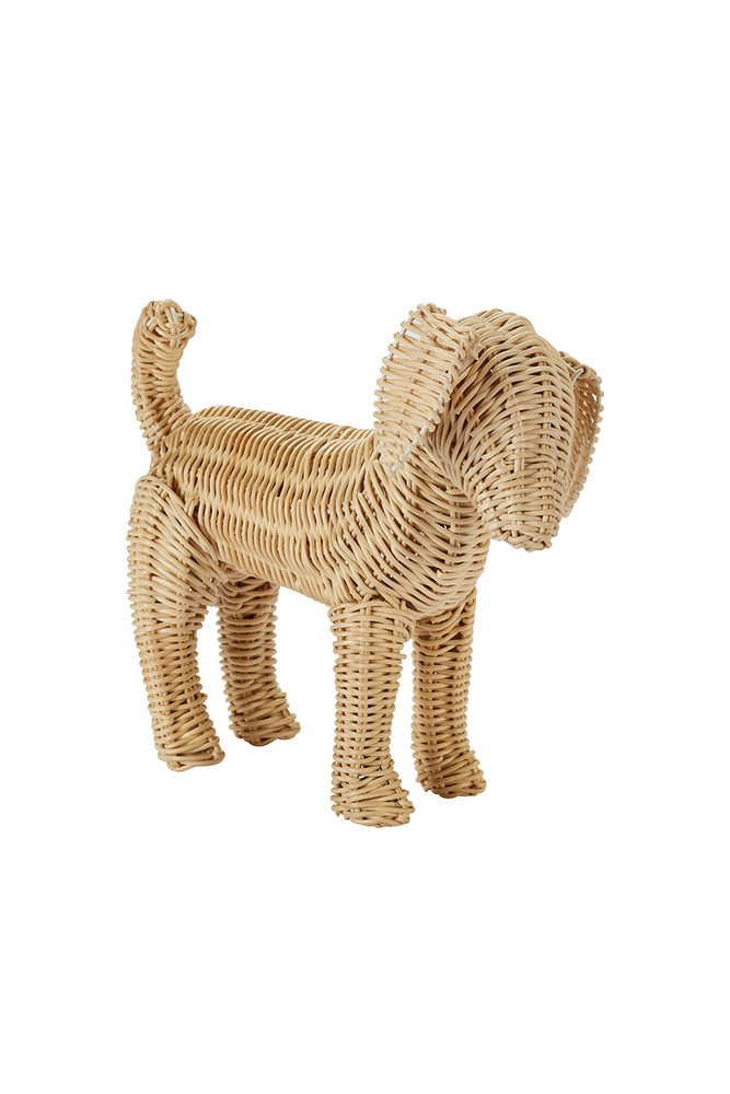 potcake puppy