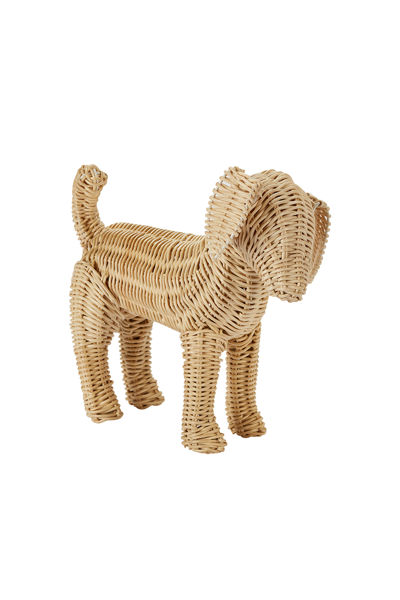Potcake Puppy